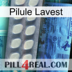 Lavest Pill 34